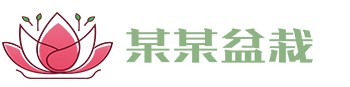 南宫国际(中国区)官方网站